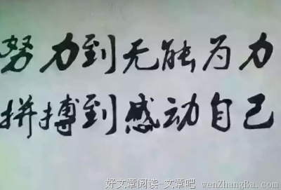 最新的《坏家伙们》经典句子大全