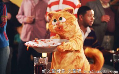 纪尧姆·米索经典语录