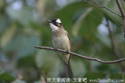 最全的《黑鹰坠落》经典台词