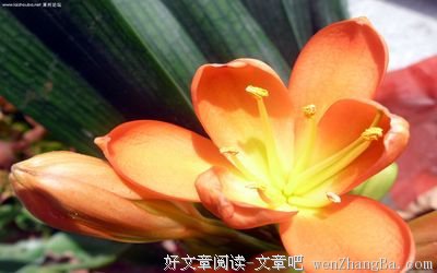 最经典的孟非10句经典名言