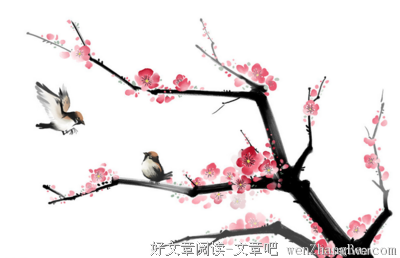 最新的《亲爱的爱情》小说摘抄