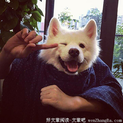 最全的回忆专用小马甲名言名句
