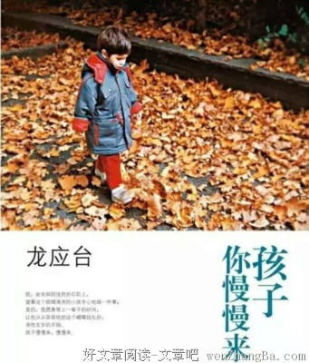 龙应台经典名句
