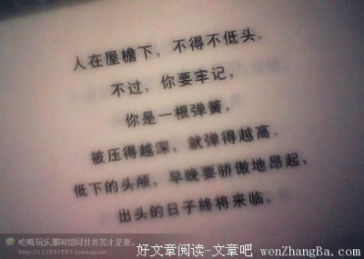 最全的《你是我兄弟》经典语句