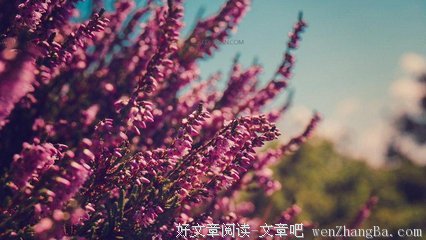 最新的元好问10句经典名言