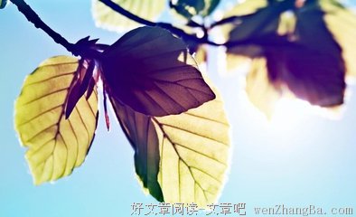 最经典的越今朝10句经典名言