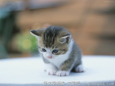 2017心然名言名句