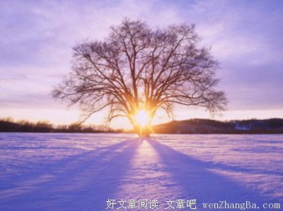 最全的繁华如水名言名句