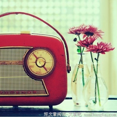 最全的《千里共良宵》经典语句