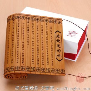 最全的《给未知恋人的情书》小说句子
