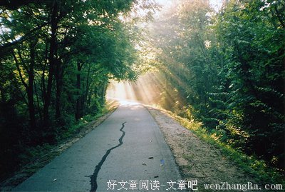 最全的《孤独及其所创造的》经典句子