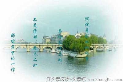 最新的东奔西顾精彩语录