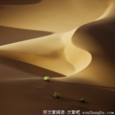 聂鲁达经典句子
