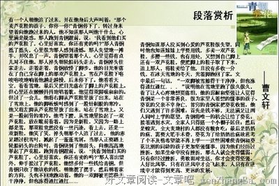曹文轩经典句子