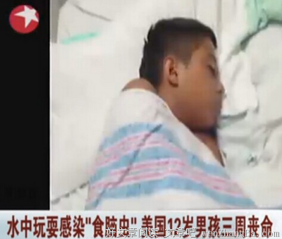 最经典的《单细胞生物的一往情深。》语录摘抄