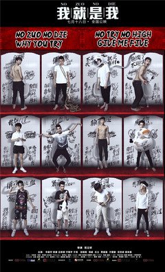 《华晨宇》名句欣赏
