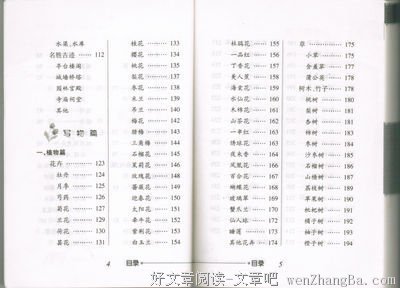 最全的《抹布女也有春天》好段摘抄大全