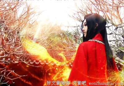 最经典的《花容天下》小说书摘大全