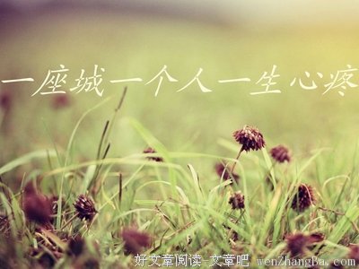 最全的《毒女de秘密情事》经典语录大全