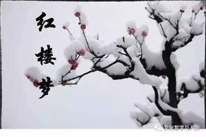 最新的《维摩诘经》经典语句