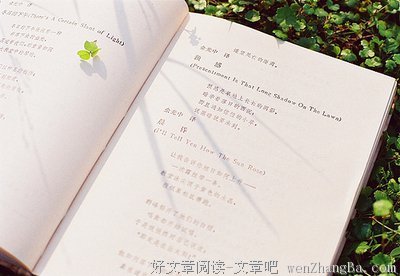 最经典的张宗子的名言名句