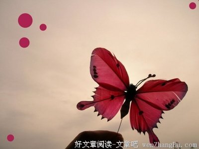 最经典的周梦蝶经典语录