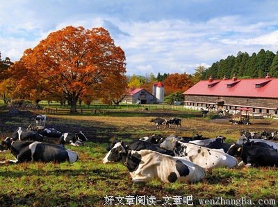 最新的小岩井名言大全