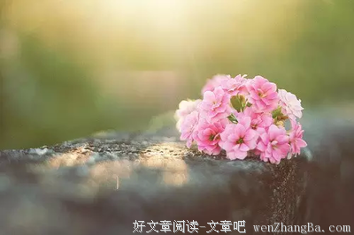 最经典的《想爱你到老》经典名句