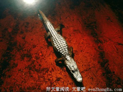 弗诺·文奇名言名句