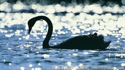 最全的皎皎精彩语录