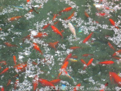 乐府歌辞的名言名句