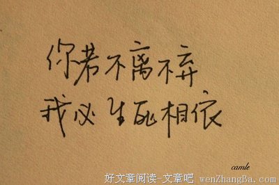 最全的《传奇》佳句摘抄大全