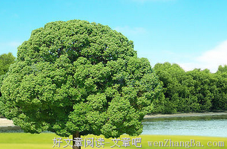 最全的林语堂名言名句