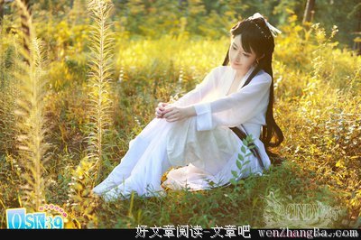 最经典的《一生孤注掷温柔》经典句子