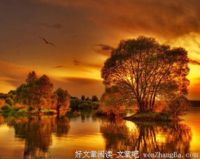 最新的米炎凉的名言名句