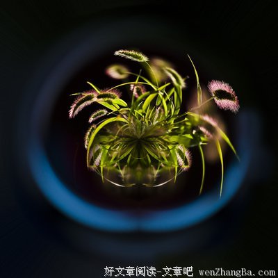 最经典的《我是一棵小草》电视剧经典台词