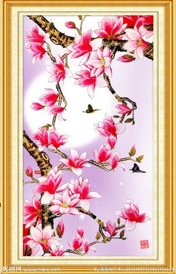最经典的《笛声从月亮里传来》佳句摘抄
