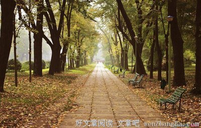 最新的《送别》小说句子