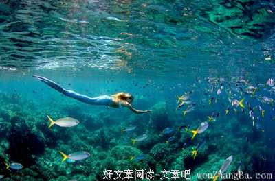 最经典的《全职高手》经典名句