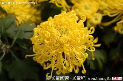 七律的名言_关于七律的名言