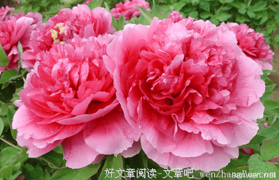 水珠的名句_关于水珠的名句