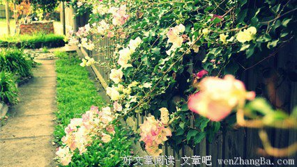 关于力量的唯美句子