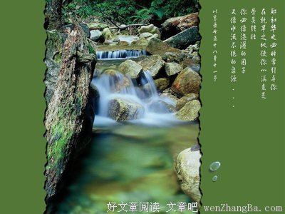 心意的名言_关于心意的名言