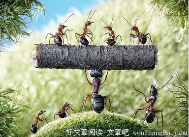 最经典的共我眠与你伴名言大全