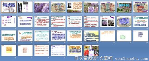 最经典的《双双燕 紫藤词》经典语句