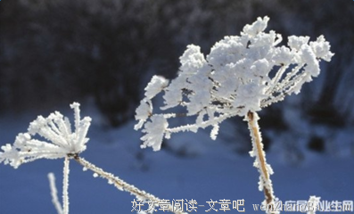 下一场的句子
