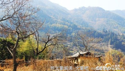 最全的W·S·默温经典语录