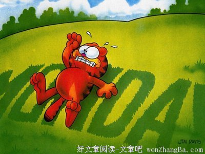 最全的猫语猫寻经典名句