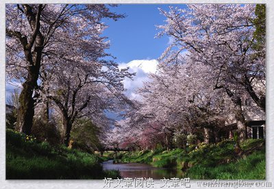 最新的《富士山下》佳句摘抄