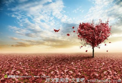 最全的《活法》小说摘抄